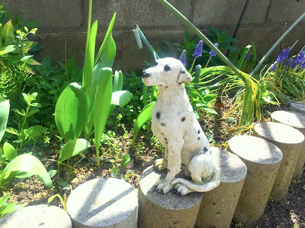 Macのプレビューで画像を濃い色に