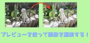 画像加工にMacのプレビューが超優秀な件！ブログやSNS投稿用の画像を加工しよう！