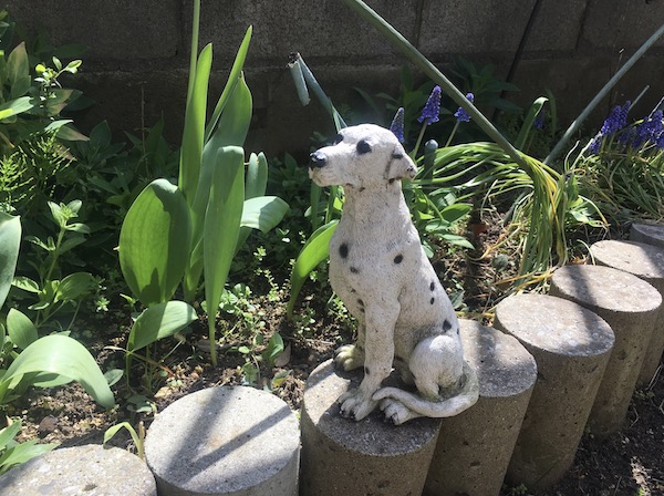 花壇に並ぶ犬の置物 プレビューを使って画像編集