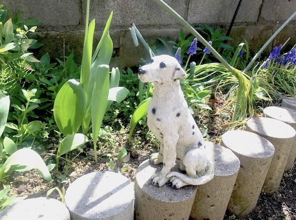 プレビューで加工後の花壇に並ぶ犬の置物