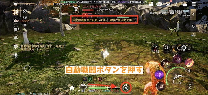 TRAHA 自動戦闘でスキルを使わない