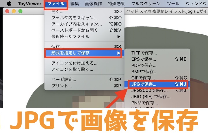 Toyviewer JPGで保存の仕方