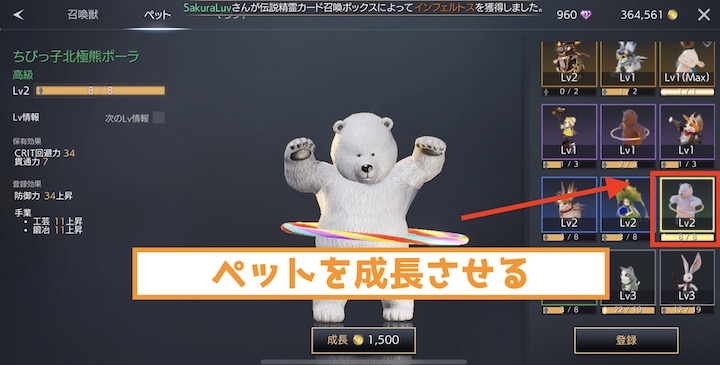 TRAHA 戦闘力3000 ペットの強化