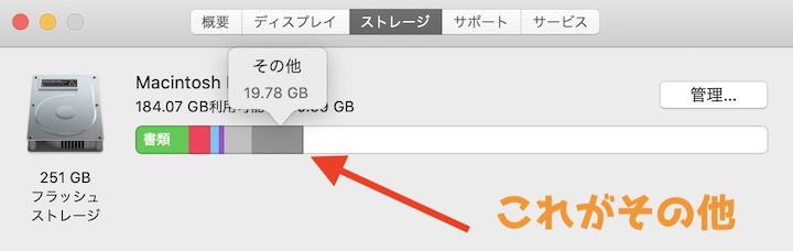 Mac ストレージ その他って何？