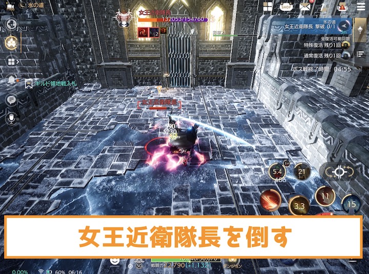 女王近衛隊長を倒す 氷の道