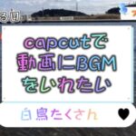 capcutで動画にbgmを入れたい