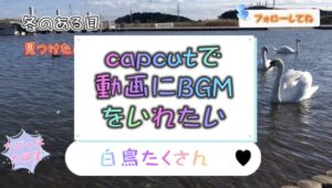 【capcut講座】動画にBGMを追加する方法！マイミュージックから音楽の抽出もできる！