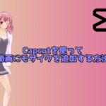 Capcutを使った動画にモザイクを追加する方法