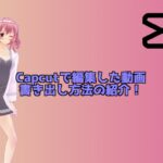 capcut 動画の書き出し方法