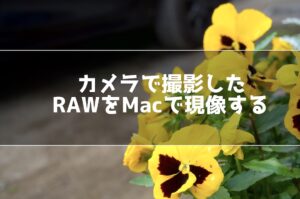 カメラで撮影したRAW写真をMacで現像する方法！純正アプリでできる！