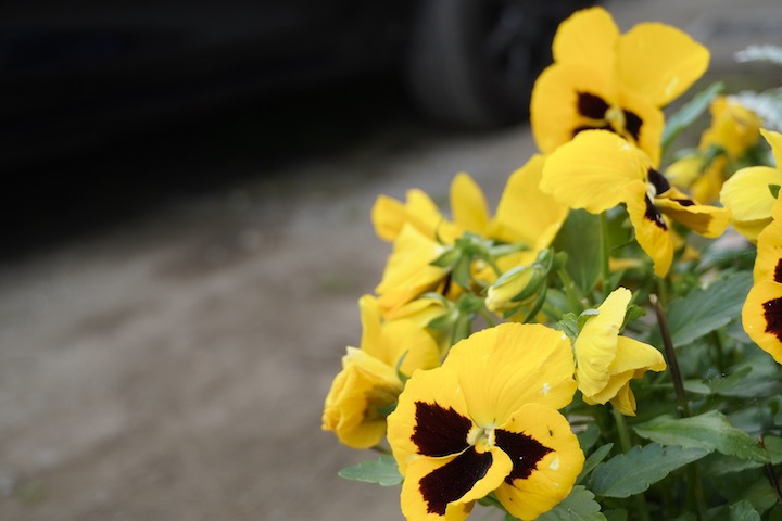 写真アプリでライトを調整してみた 調整前