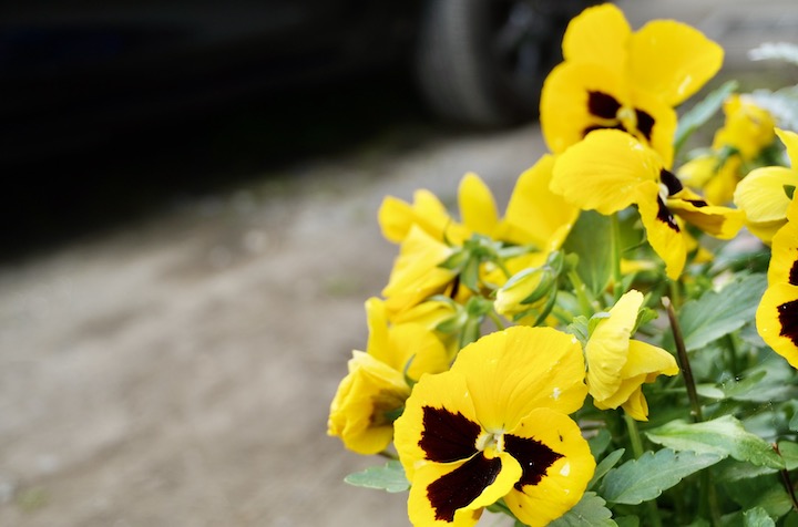 写真アプリでライトを調整してみた 調整後