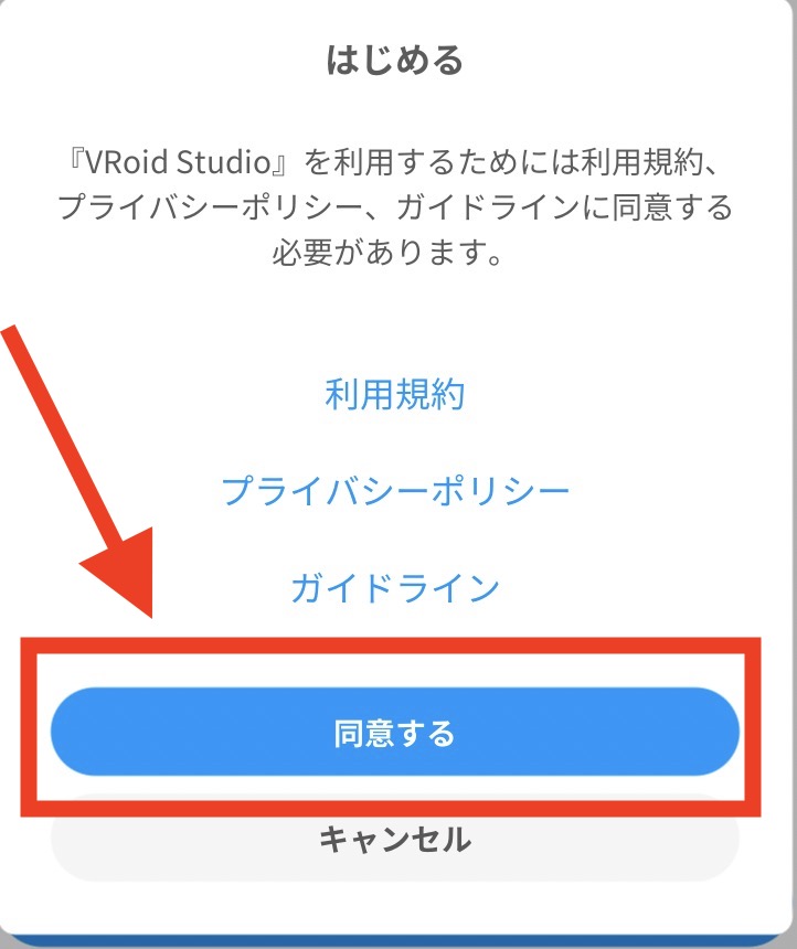 VRoid Studio 確認画面