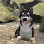 Happy Hill Dog Park VRchat ワールド紹介