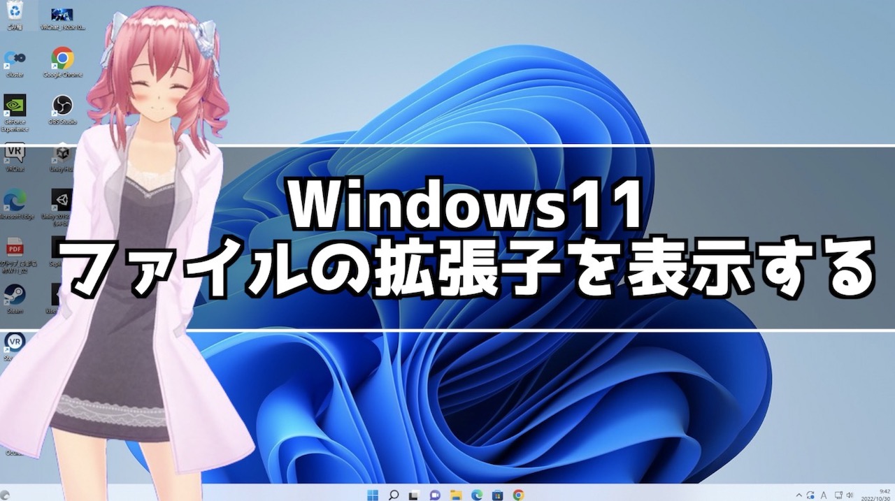 Windows11ファイルの拡張子を表示する方法
