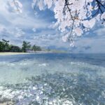 nagisa no machi ワールド紹介