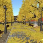 銀杏並木-Ginkgo Street-