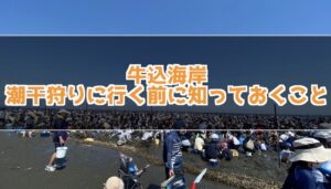 牛込海岸に潮干狩りに行く前に知っておくべきこと：準備から帰るまで！
