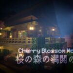 VRChatワールド紹介 Cherry Blossom House サムネイル