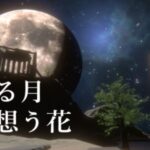 VRChatワールド紹介 眠る月想う花 サムネイル