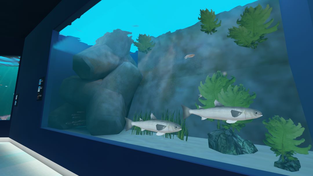 VRChatワールド紹介 Sushi Aquarium 海洋棟 5