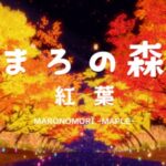 VRChatワールド紹介 まろの森 （紅葉）MARONOMORI -MAPLE- サムネイル