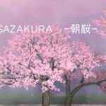 VRChatワールド紹介 ASAZAKURA -朝桜- サムネイル