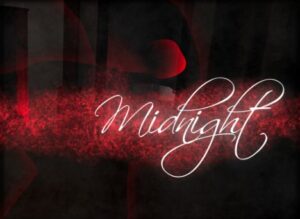 【VRChatワールド紹介】Midnight