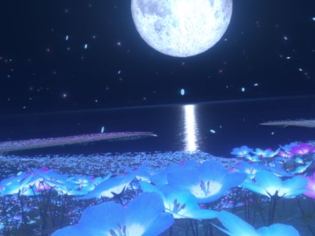 VRChatワールド紹介 光とネモフィラと サムネイル