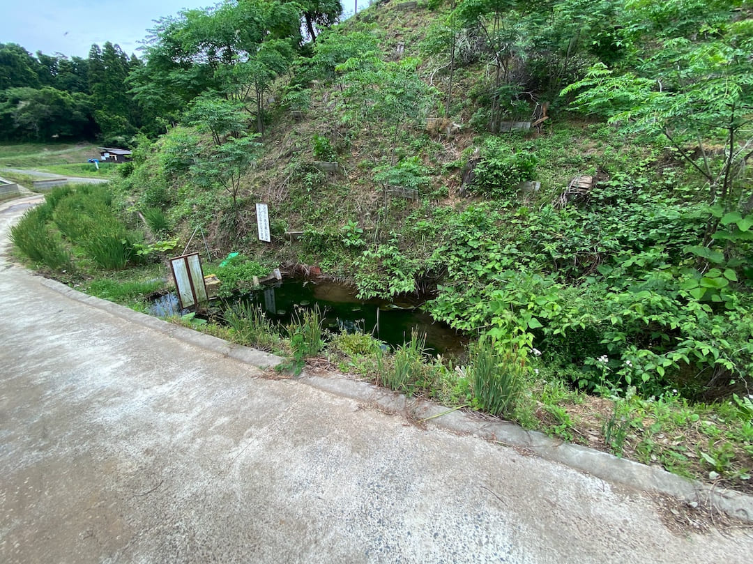 成田ファームランド行ってみた！22