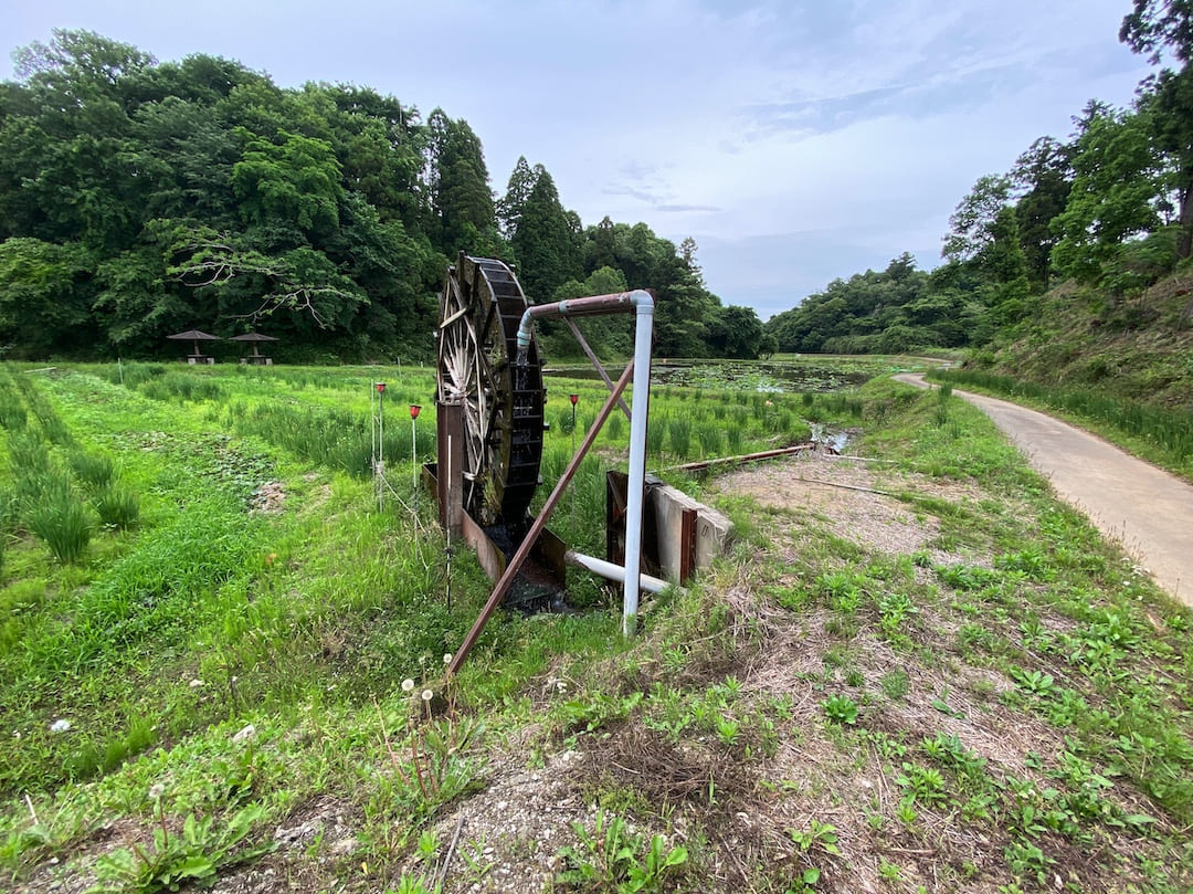 成田ファームランド行ってみた！24