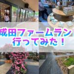 成田ファームランド行ってみた！入場料は？