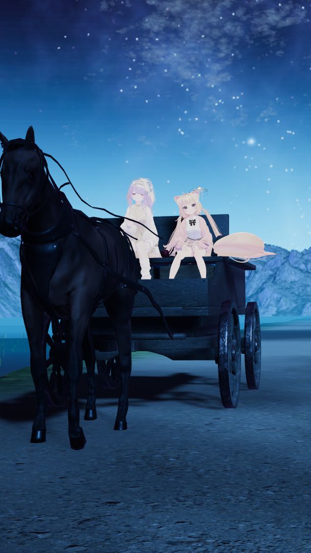 VRChatワールド紹介 A Starry Carriage Ride 3