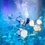 VRChatワールド紹介 Deep sea aquarium サムネイル