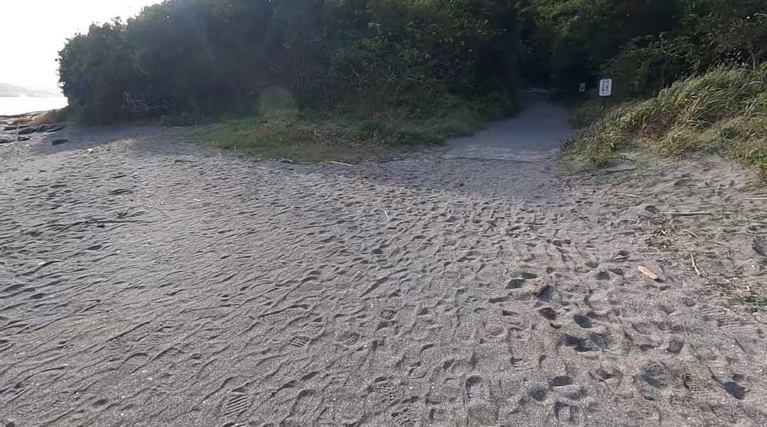 ドライブでいきたい南房総の沖ノ島は無料で楽しめる！駐車場・トイレ施設情報！8