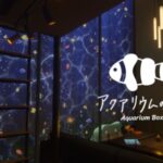 VRChatワールド紹介 アクアリウムの箱 - Aquarium Box AZR-05M サムネイル