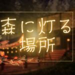 VRChatワールド紹介 森に灯る場所 サムネイル