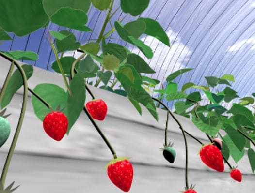 VRChatワールド紹介 いちご狩り ⁄ strawberry picking サムネイル