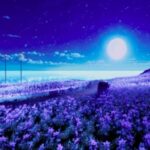 VRChatワールド紹介 Last Light - 最後の光 サムネイル