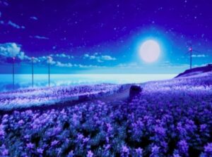 VRChatワールド紹介 Last Light - 最後の光 サムネイル
