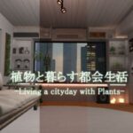 VRChatワールド紹介 植物と暮らす都会生活 -Living a cityday with Plants- サムネイル